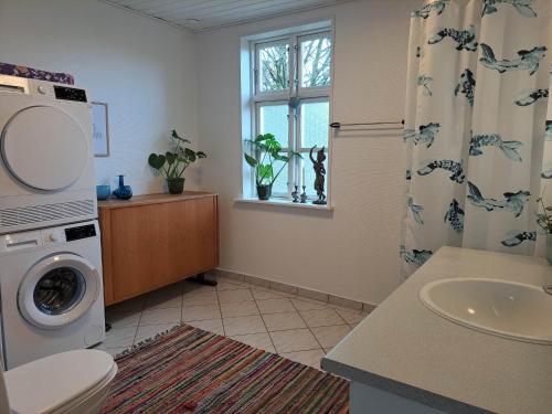 a bathroom with a sink and a washing machine at Hyggelig ferielejlighed i Harresø in Give