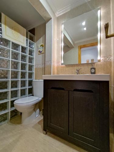 W łazience znajduje się toaleta, umywalka i lustro. w obiekcie El Bungalow de Javi w mieście Gran Alacant
