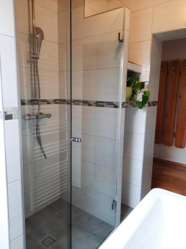 a shower with a glass door in a bathroom at Haus Galler - Urlaub am Bauernhof in Bad Aussee