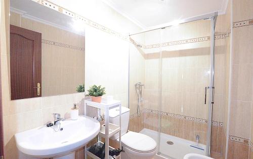 y baño con aseo, lavabo y ducha. en El Apartamento de Adina, en Santiurde de Toranzo