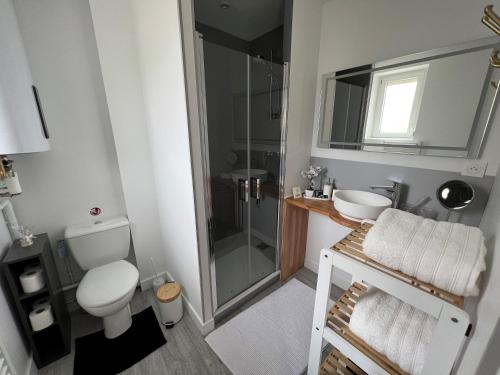 La salle de bains est pourvue de toilettes, d'un lavabo et d'une douche. dans l'établissement La suite du Theatre, à Bourges