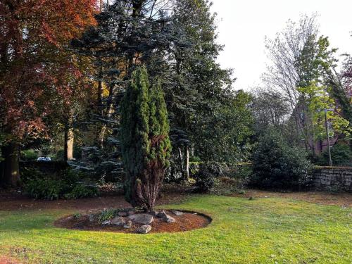 a tree sitting in the middle of a yard at No.2 Beechcroft / Park-Side / Ping Pong & Garden in Liverpool