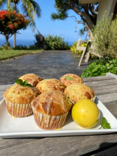 Gallery image of Kona Bayview Inn in Captain Cook