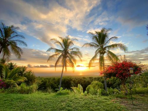 Gallery image of Kona Bayview Inn in Captain Cook