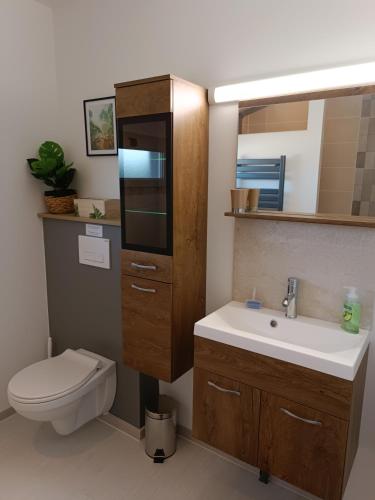 une salle de bain avec un lavabo, des toilettes et un miroir dans l'établissement Chalet Miquéou Gers, à Marseillan