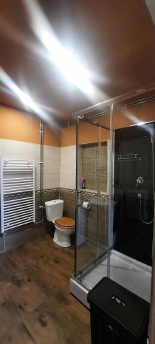 Un baño de Vejminek pod smrkem