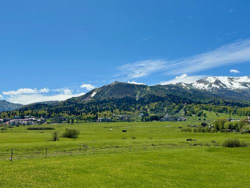 a field of green grass with mountains in the background at Villa Mtashi in Bakuriani
