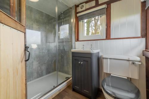a bathroom with a shower and a toilet and a sink at The Railway Carriage in Melton Constable