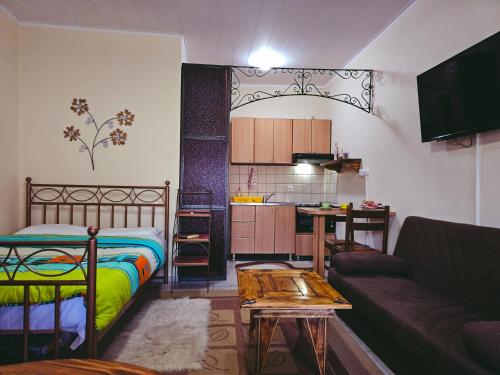Studio GIANNIS في Souflíon: غرفة معيشة مع سرير وأريكة ومطبخ