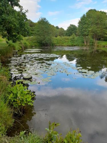a river with lily pads in the water at Spacious Bungalow in Pinxton