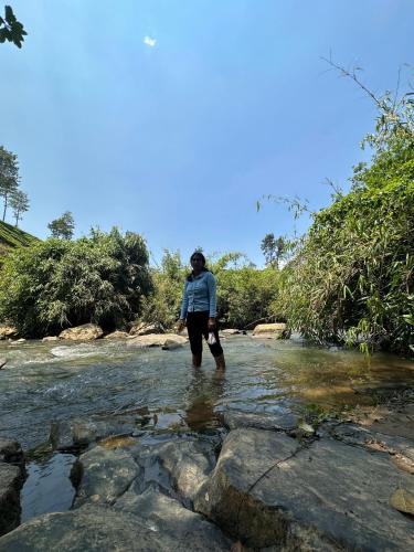a person standing in the water in a river at LAZY DAYS Wayanad in Cherambādi