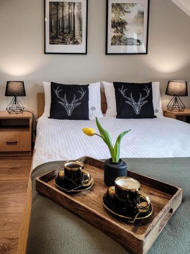 Noclegi Rezydent Polańczyk