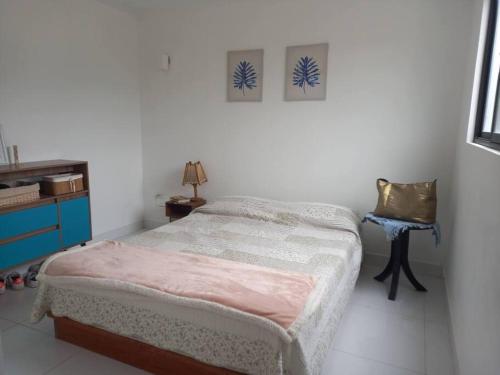 Chincha BajaThe Pacific Cottage的一间带床和椅子的小卧室