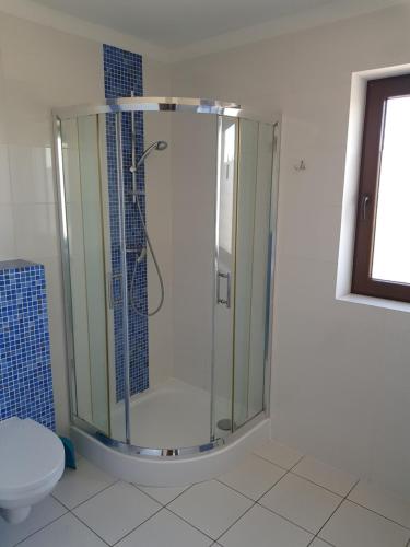 a glass shower in a bathroom with a toilet at VILLA POMERANIA in Rowy