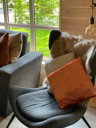 a dog laying on a couch next to a window at Chalet Sint-Hubertus Deluxe in Zutendaal