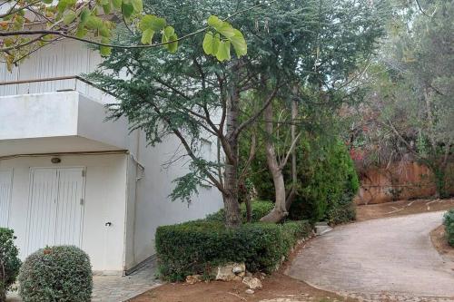 a tree next to a building with a garage at Sea Satin Anavyssos in Anavissos