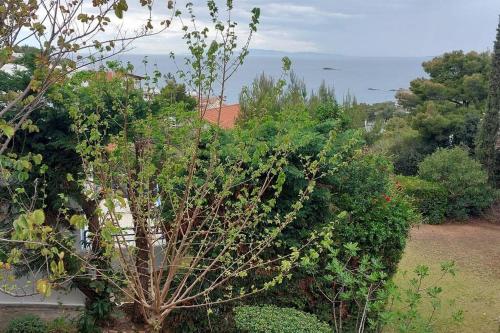 a tree with flowers on it in a garden at Sea Satin Anavyssos in Anavissos