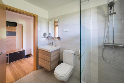 y baño con aseo, lavabo y ducha. en Apartma Lida 1, en Bled