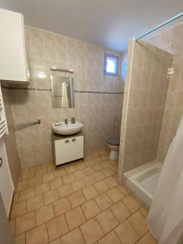 une salle de bain avec un lavabo, une douche et des toilettes dans l'établissement Gîte Lou Gardian, à Aureille