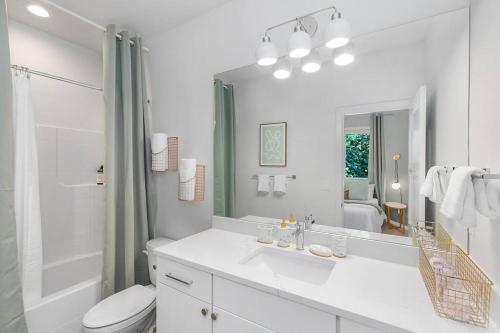 西雅圖的住宿－Jimi's Sweet Suite - 84 Walkscore，一间带水槽、卫生间和镜子的浴室