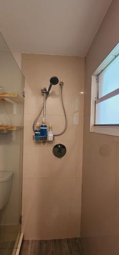 een badkamer met een douche in de hoek van een kamer bij Private Aparment Studio in the hard of Miami unit # 6 in Opa-locka
