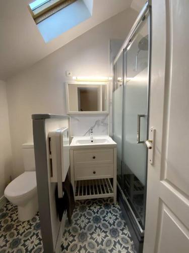 un bagno con lavandino e WC di Charmante petite maison a Bourges