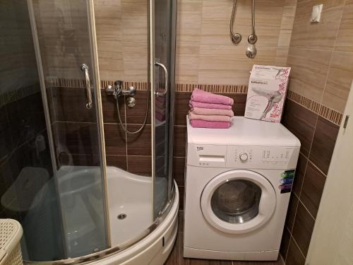 uma pequena casa de banho com uma máquina de lavar roupa e um chuveiro em Apartman Park em Zvornik