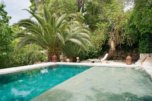 a swimming pool in a yard with a palm tree at Mirabó de Valldemossa in Valldemossa
