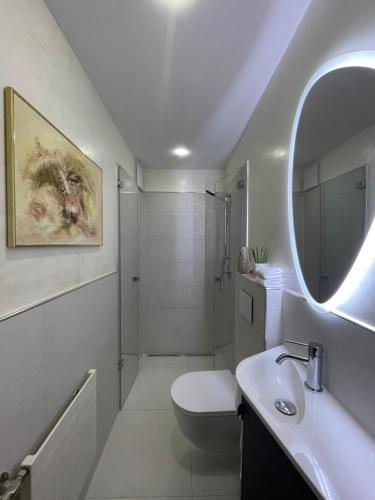 a bathroom with a sink and a toilet and a mirror at Airport Rooms Waldblick in Cologne