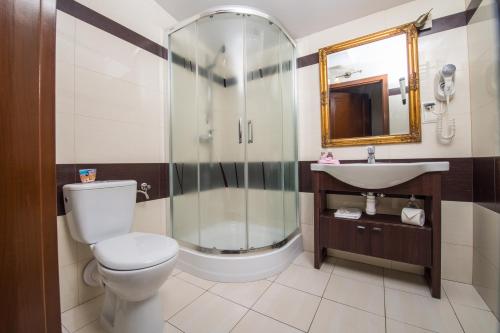a bathroom with a shower and a toilet and a sink at Hotel & Restauracja Gniecki in Hrubieszów