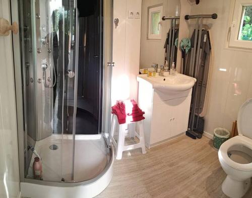 a bathroom with a shower and a toilet and a sink at Grand studio climatisé avec piscine - 3 étoiles in Villemoustaussou