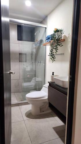 a bathroom with a toilet and a shower and a sink at Básico Departamento in Puebla