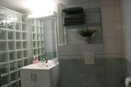 Koupelna v ubytování Gjestesuite