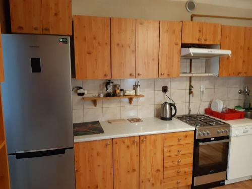克拉科夫的住宿－Sienna 3 OLD TOWN，厨房配有木制橱柜和不锈钢冰箱。