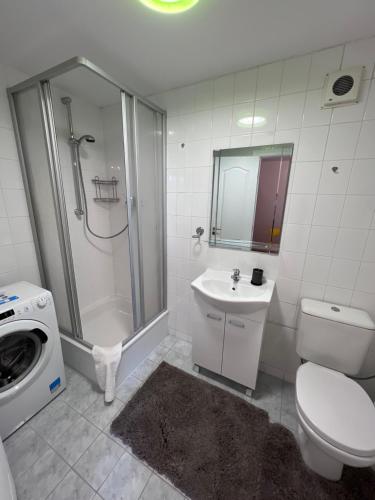 a bathroom with a shower and a toilet and a sink at Swedish Gate Apartment in Old Town in Riga