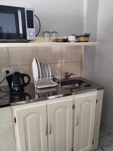 a kitchen counter with a sink and a microwave at Alojamiento temporario in Formosa