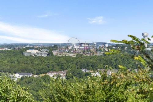 a city with a ferris wheel in the distance at Luxury Modern Condo by the Lake - Succulent Way in Branson