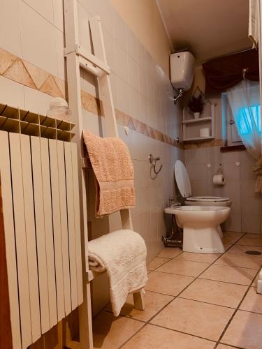 a bathroom with a toilet and a ladder in it at La Candida Rosa L T Anagni in Anagni