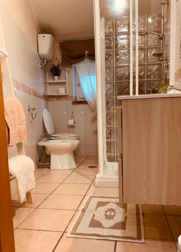 a bathroom with a toilet and a shower and a sink at La Candida Rosa L T Anagni in Anagni