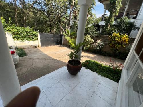 a potted plant sitting on the porch of a house at El Tessa garden/serviced apartment in Kisumu
