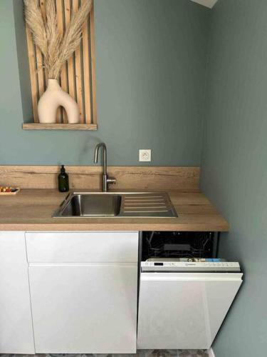 une cuisine avec un évier et un plan de travail dans l'établissement T2 chic, calme proche Hopital, à La Tronche