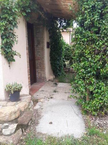 an entrance to a house with a door and some plants at Borgo de' Muracci in Ribolla