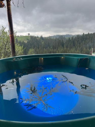 a large tub filled with water with ants in it at Мелодія Гір .Апартаменти з видом на гори . in Vorokhta