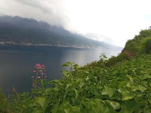 a view of a body of water with a mountain at appartamenti Residenza 1928 in Tremosine Sul Garda