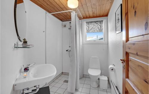 ヴィデ・サンデにあるAmazing Home In Hvide Sande With Indoor Swimming Poolの白いバスルーム(洗面台、トイレ付)