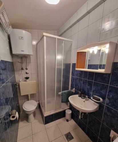 a bathroom with a toilet and a sink and a shower at Sunset View Biograd in Biograd na Moru