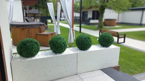 a row of bushes sitting on avisor with a bench at WRZOS resort & wellness **** DOMKI CAŁOROCZNE in Węgierska Górka