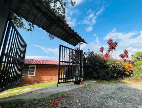 a dog sitting on the ground in front of a gate at Cabaña Tierra Verde eje Cafetero in Manizales
