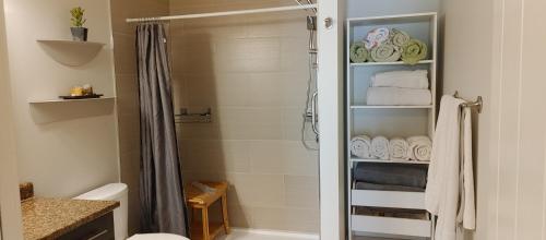 a bathroom with a shower with a toilet and towels at WineDownHere - Lic. 75806 in Kelowna