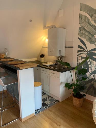 une cuisine avec des armoires blanches et un comptoir dans l'établissement Charmant appartement rénové, à Bayeux